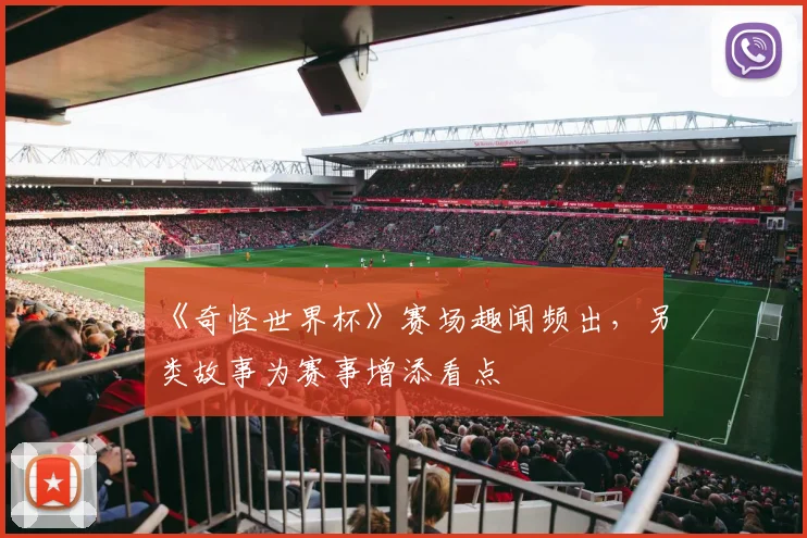 《奇怪世界杯》赛场趣闻频出,另类故事为赛事增添看点