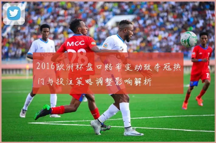 2016欧洲杯盘口赔率变动致夺冠热门与投注策略调整影响解析