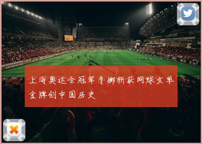 上海奥运会冠军李娜斩获网球女单金牌创中国历史