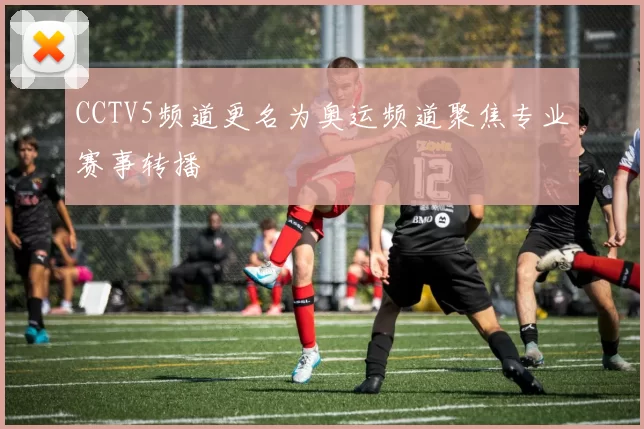 CCTV5频道更名为奥运频道聚焦专业赛事转播